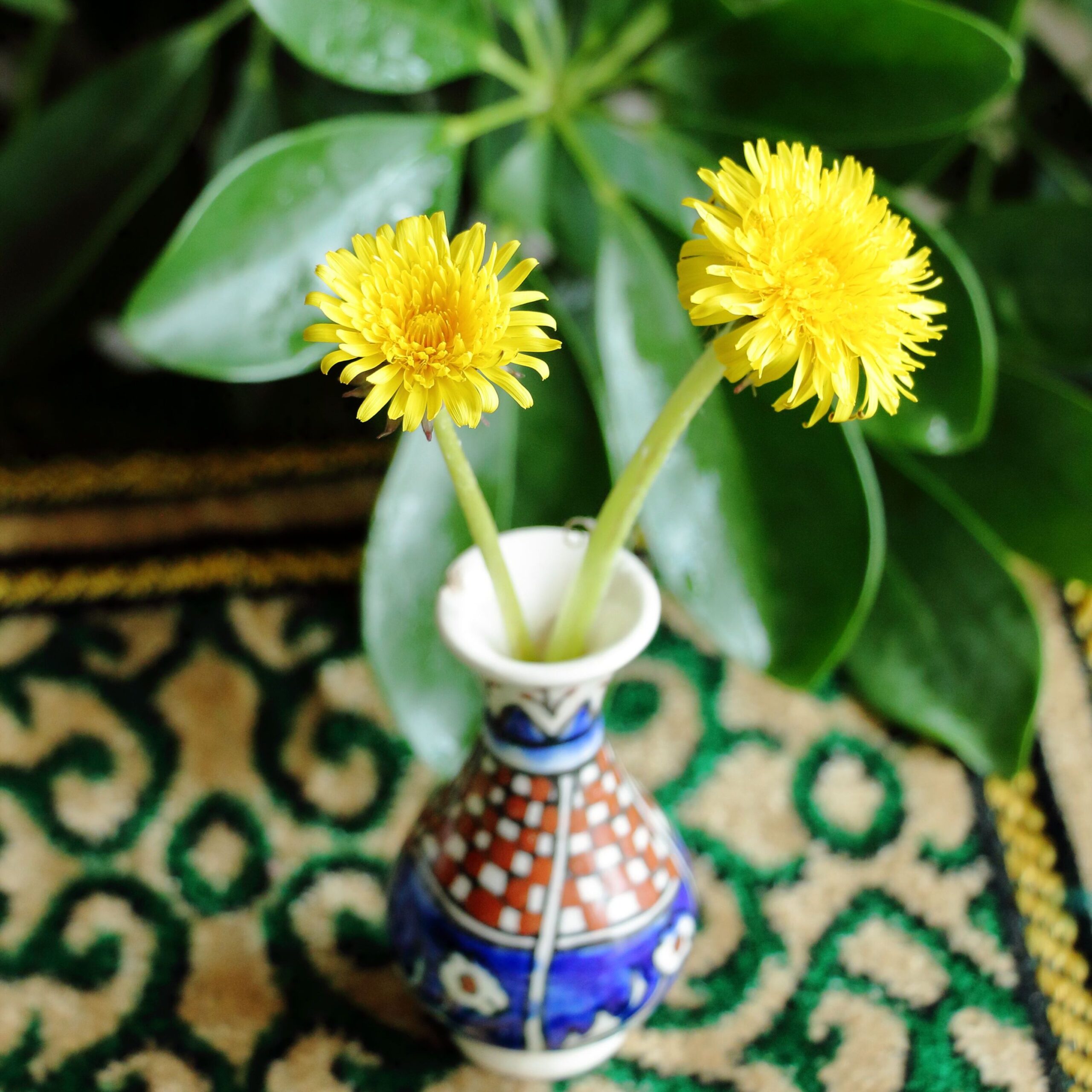 Home Two vibrant yellow dandelions in a decorative vase, set against lush green leaves.